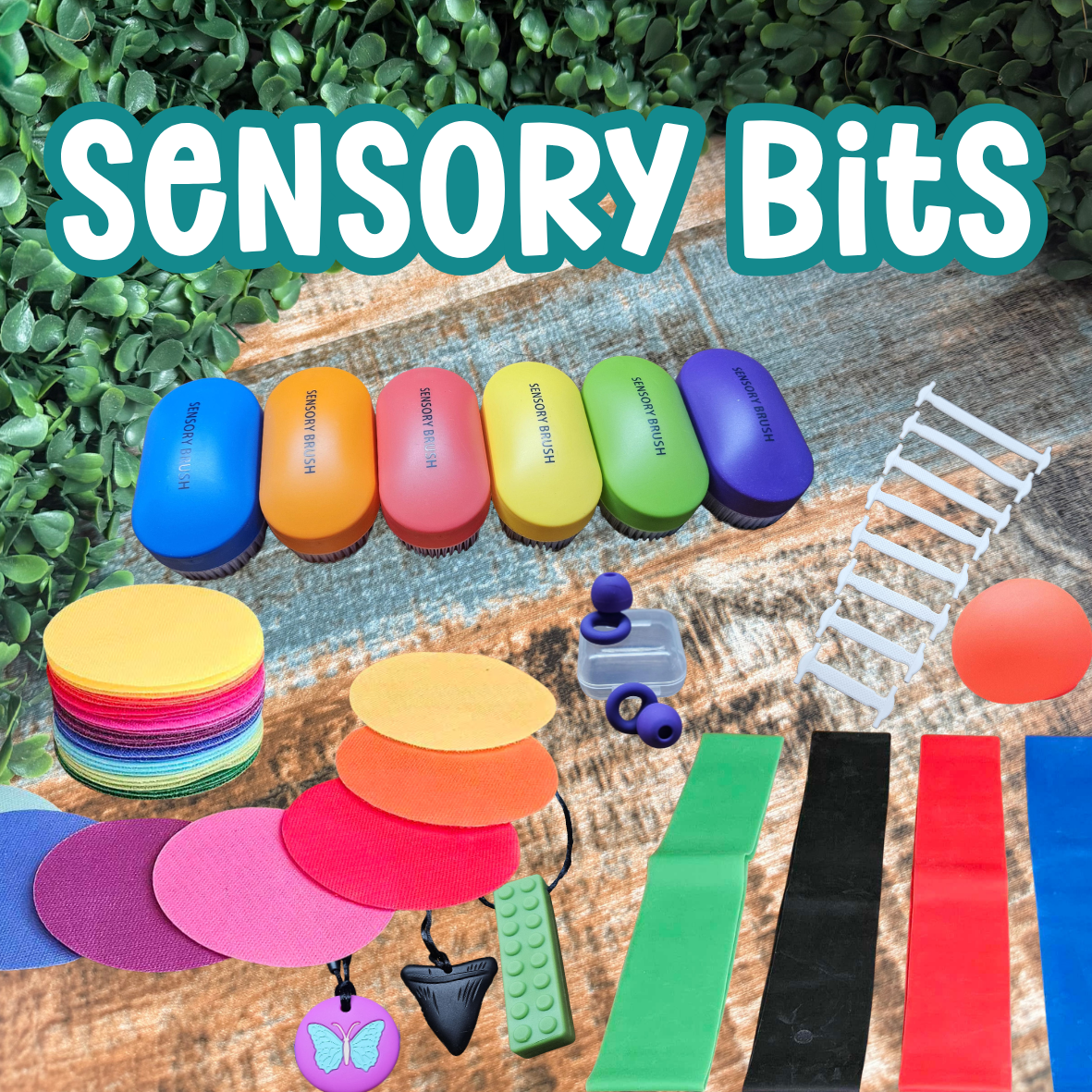 SENSORY BITS