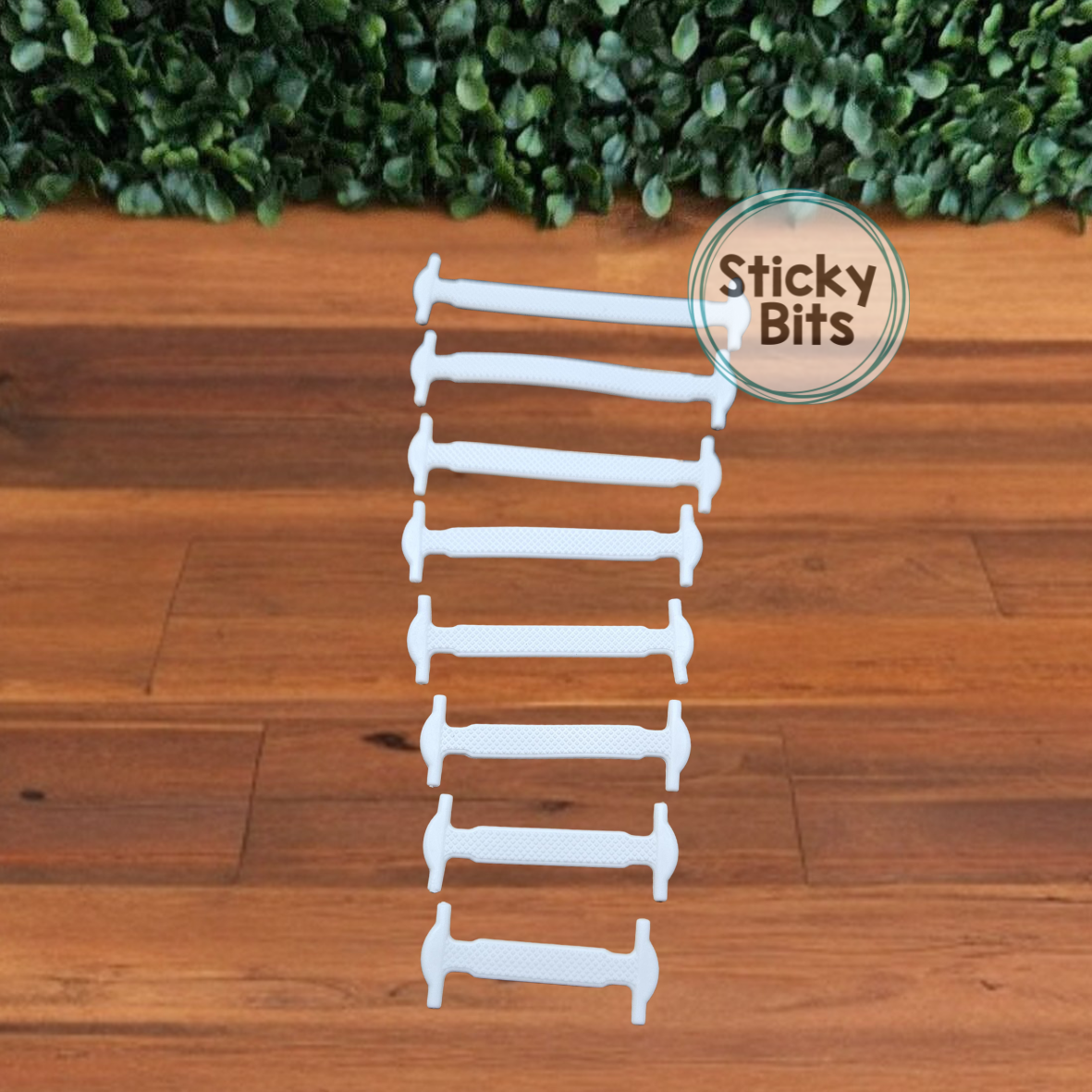 Shoelace Replacements
